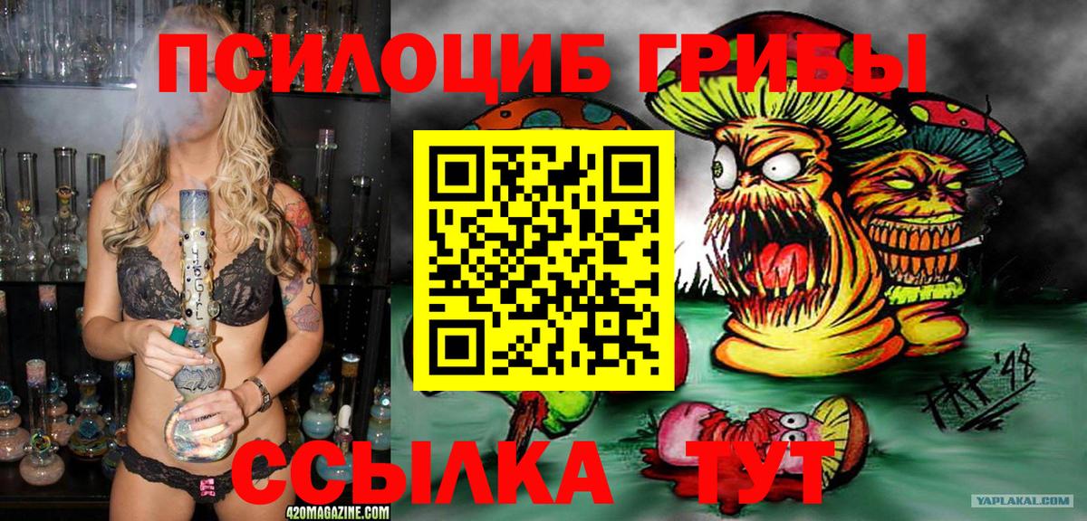 Лесной  Галлюциногенные грибы Psilocybine cubensis  Псилоцибиновые грибы мухоморы  Вход с VPN 